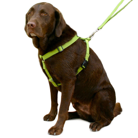 The Good Dog Company Basic Hemp Canvas Dog Harness EarthHero