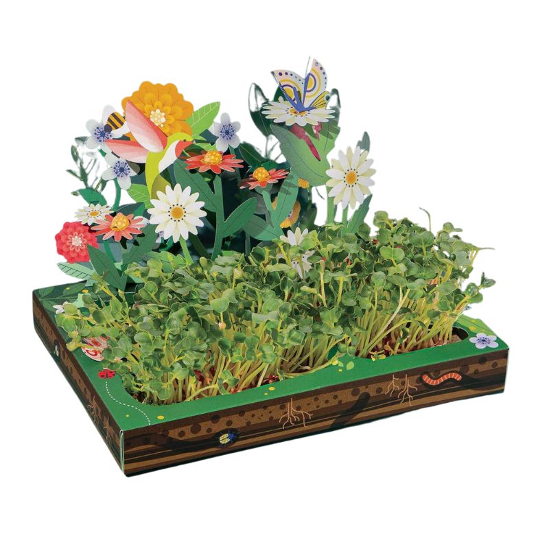 Microgreens Pop-Up Kit: Pollinator Habitat