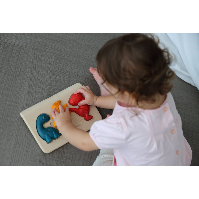 Kids Dinosaur Puzzle