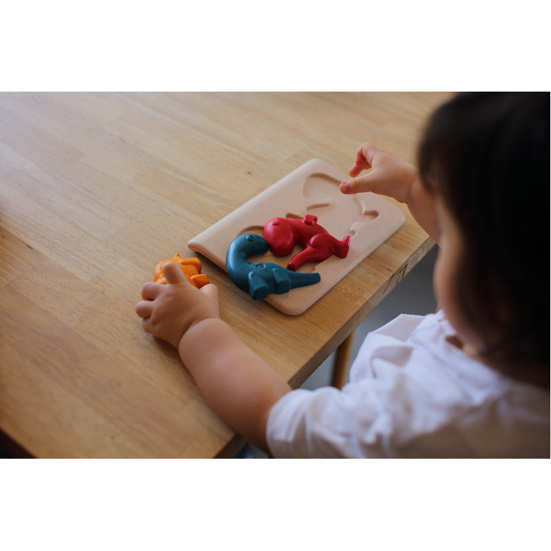 Kids Dinosaur Puzzle