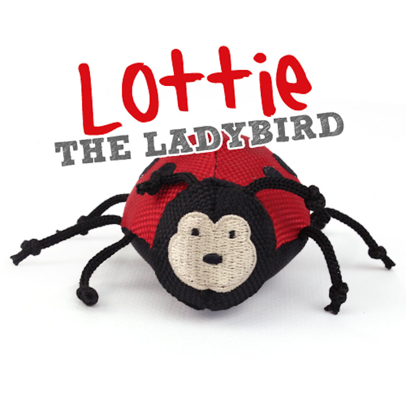 Ladybird Catnip Wand Cat Toy