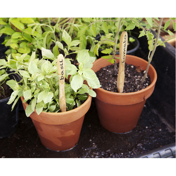 Adult Bamboo Toothbrush