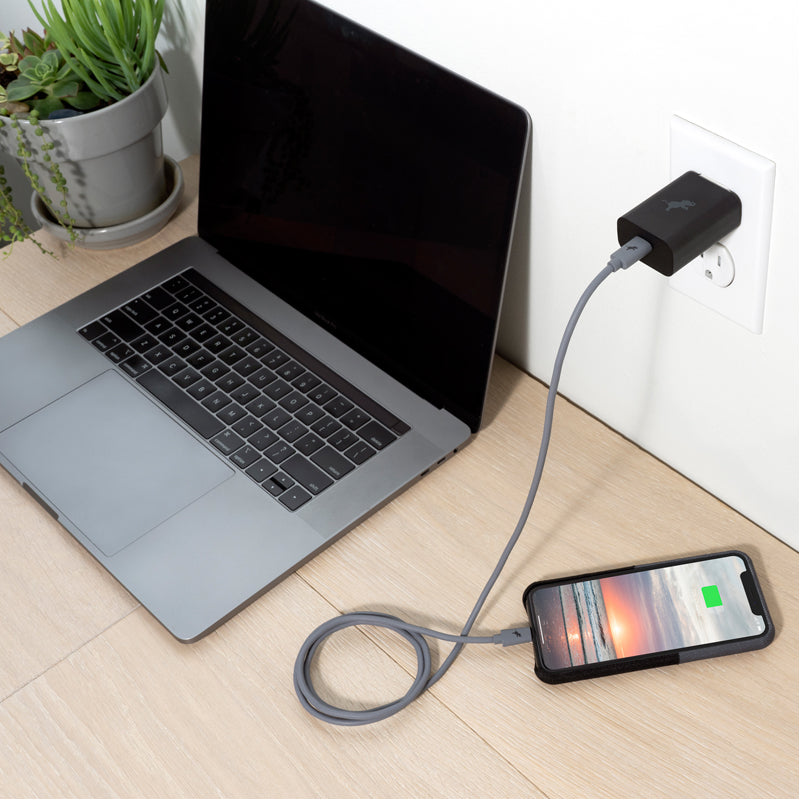 USB-C to Lightning iPhone Charging Cable