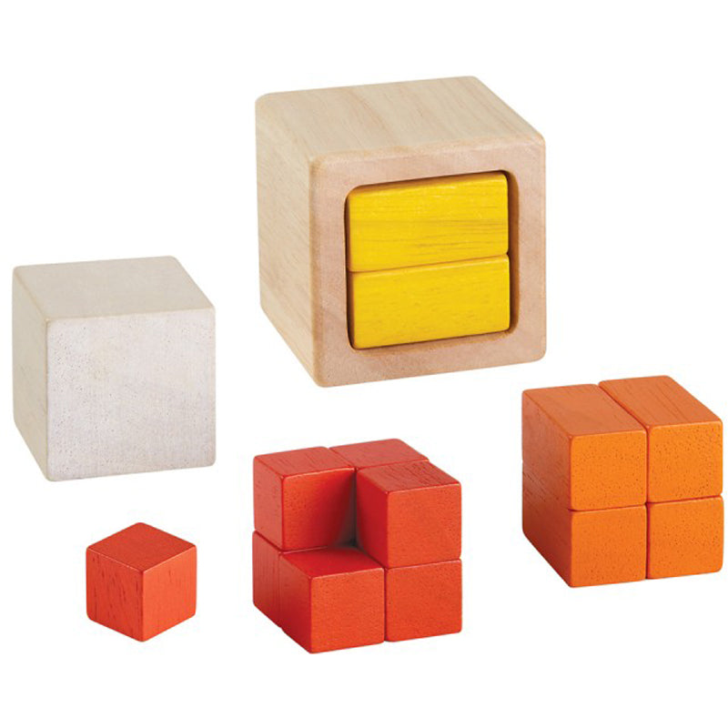 Wooden Math Fraction Cubes