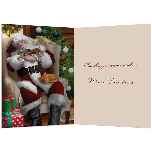 Cat Nap with Santa Holiday Greeting Cards 10pk