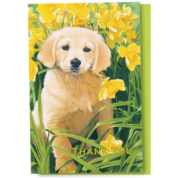 Golden Puppy Thank You Cards 12pk