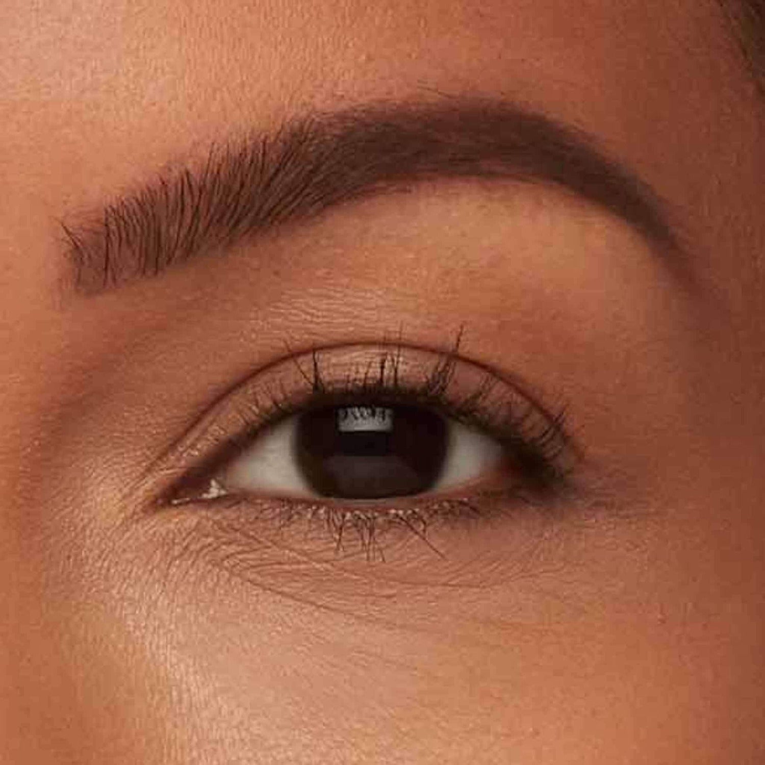 TRESTIQUE Brow Gel Refill