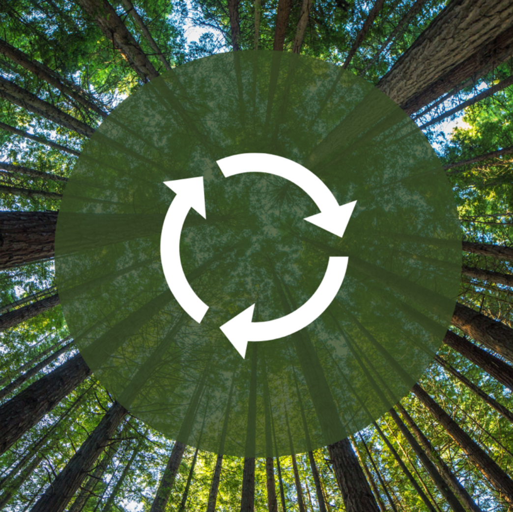Circular Thinking: How a Shift in Perspective Can Lead to a Greener Future