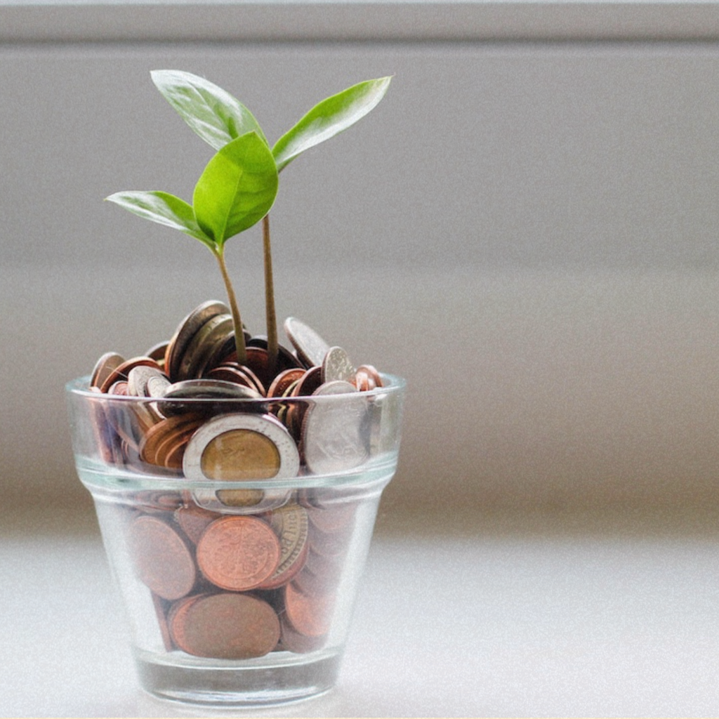 5 Ways to Save Money and Be Eco-Friendly