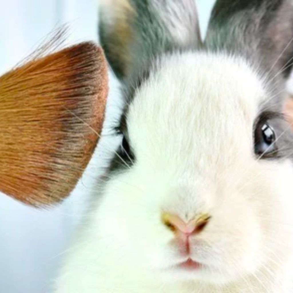 What does cruelty-free mean?