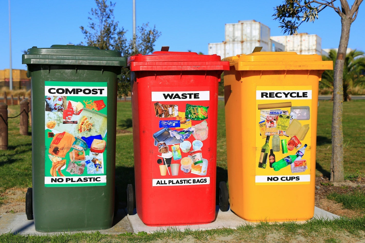 Biodegradable vs Compostable: What’s the Difference and Why Does It Matter?