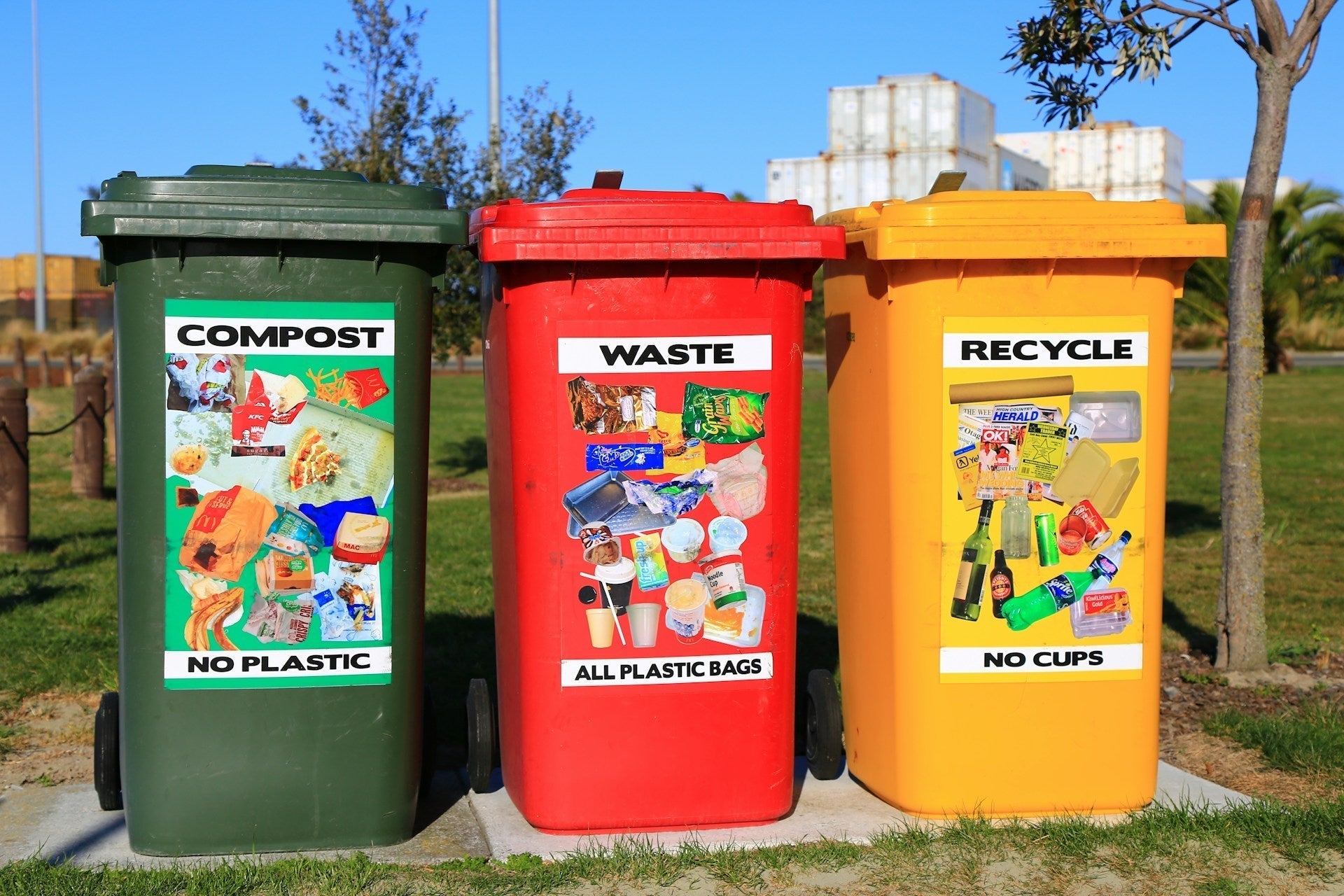 Biodegradable vs Compostable: What’s the Difference and Why Does It Matter?