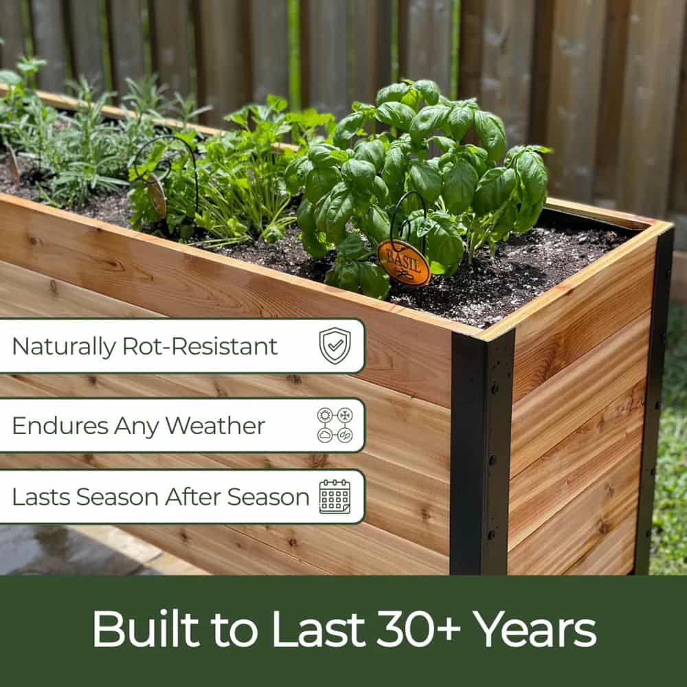18" x 24" Planter Box - 24" TALL / Select Grade