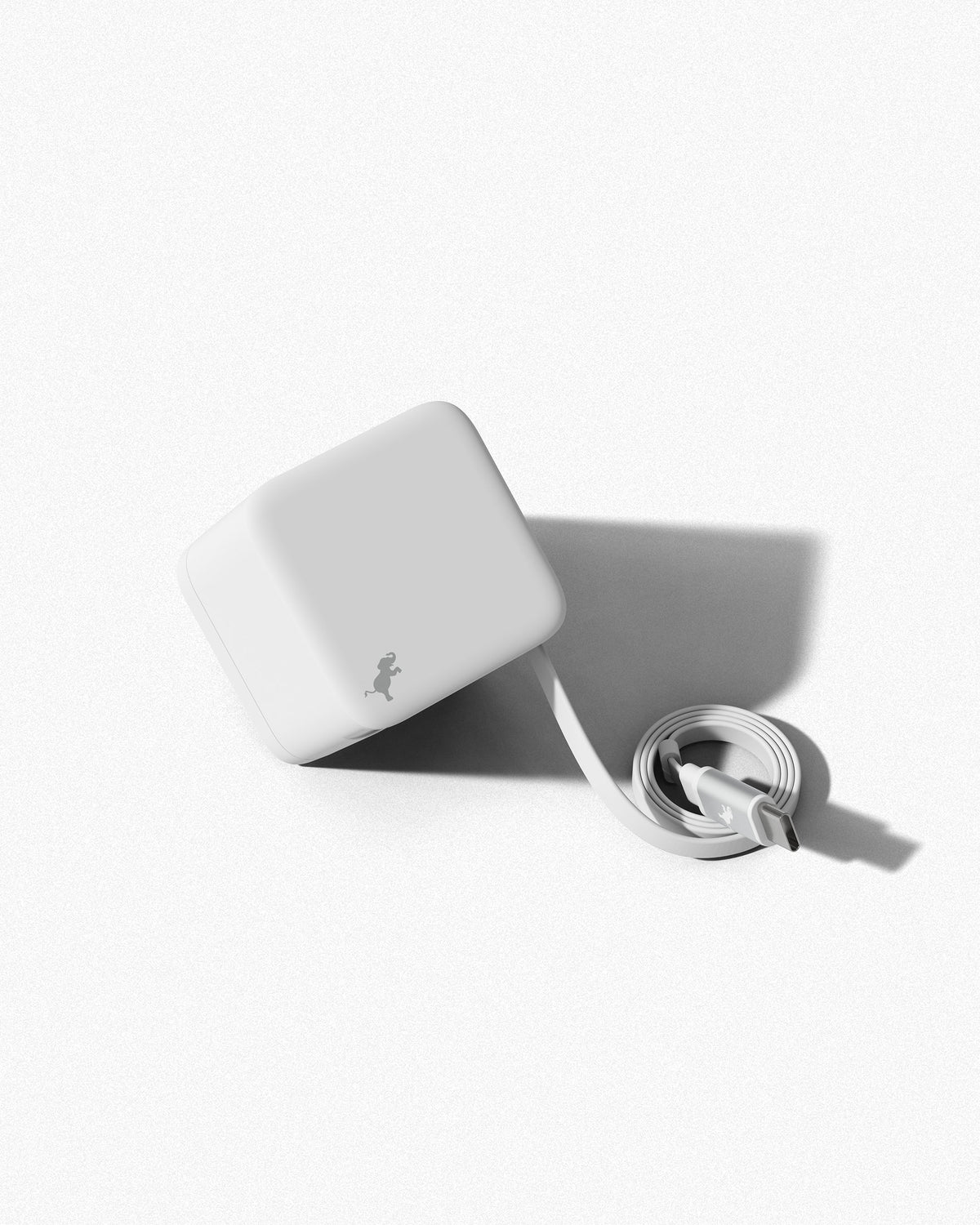 WALLY Stretch 65W Wall Charger