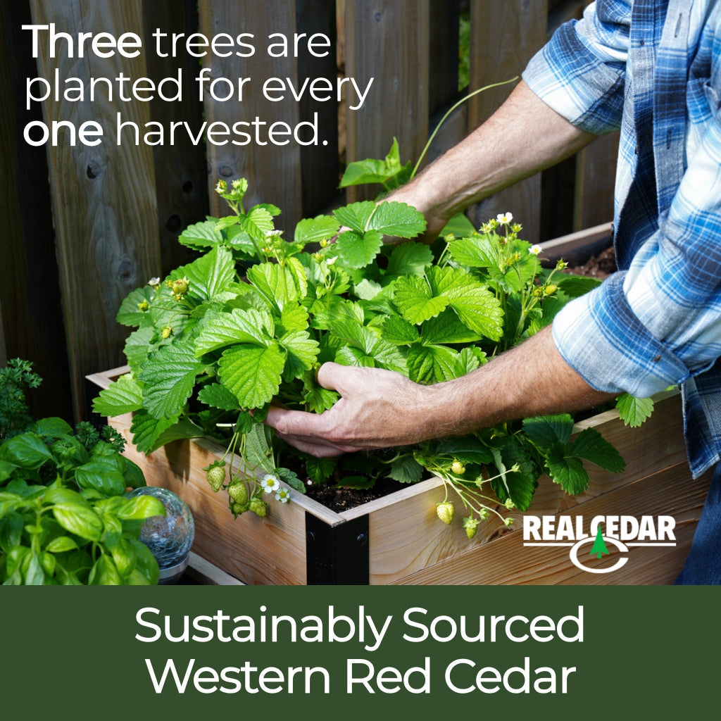 18" x 36" Raised Garden Bed - 30" TALL