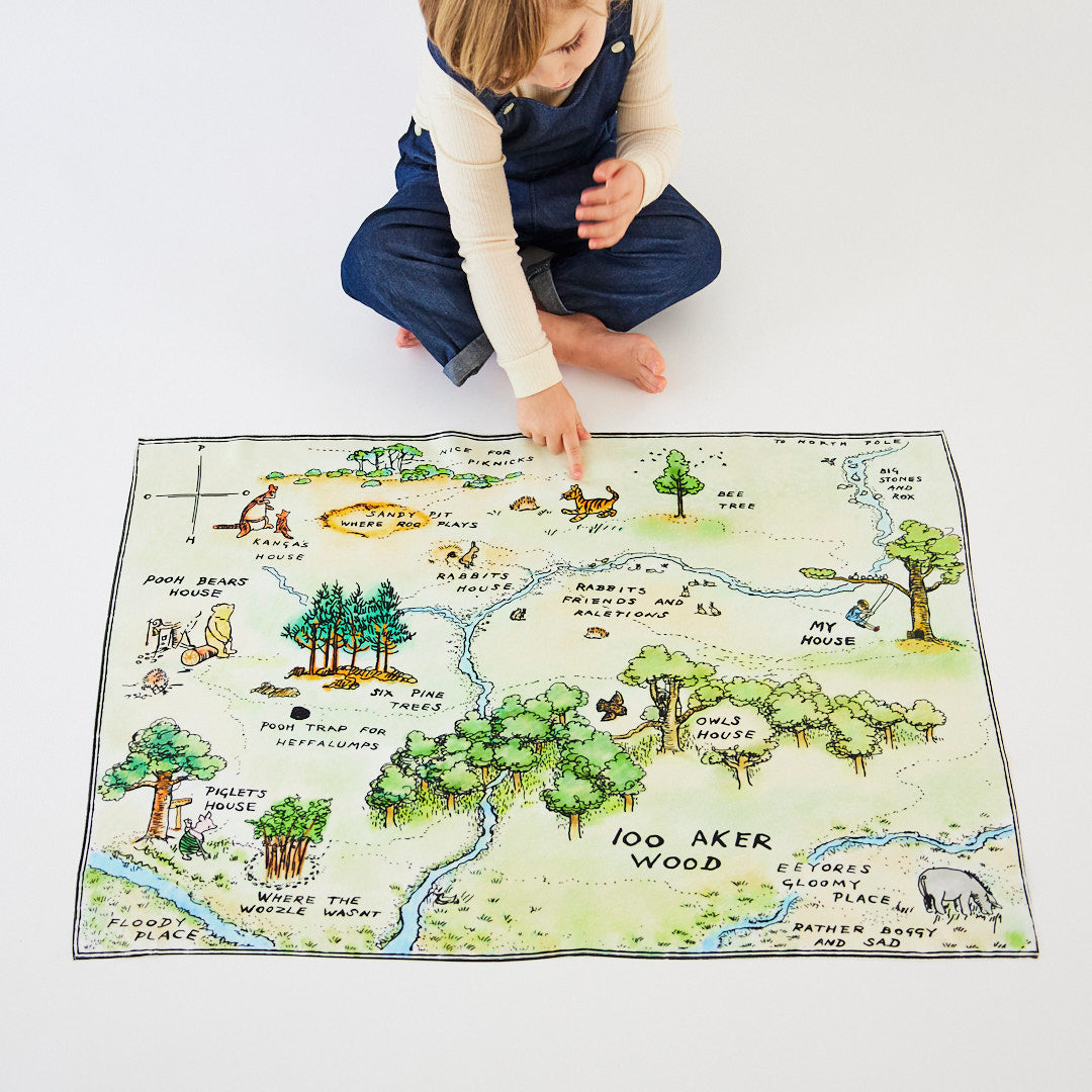 100 Aker Woods & Complete Wooden Friends Set