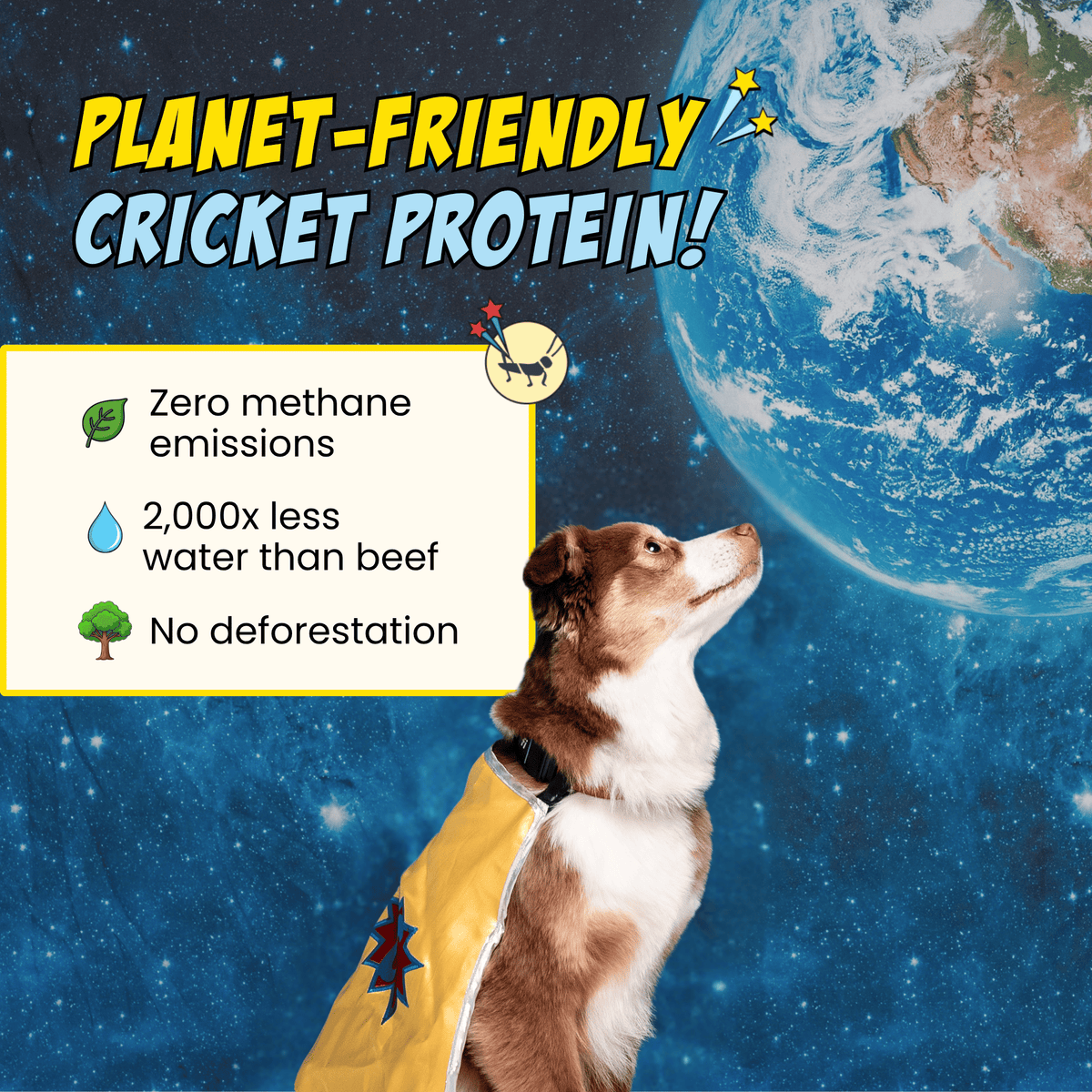 Cricket & Sweet Potato Jerky Dog Treats, 2 Pack