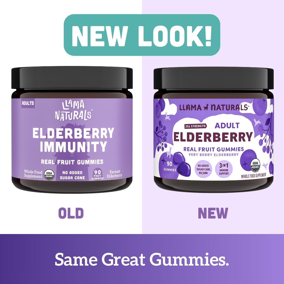 Family Immune Support Bundle - Kids + Adult Elderberry Gummies