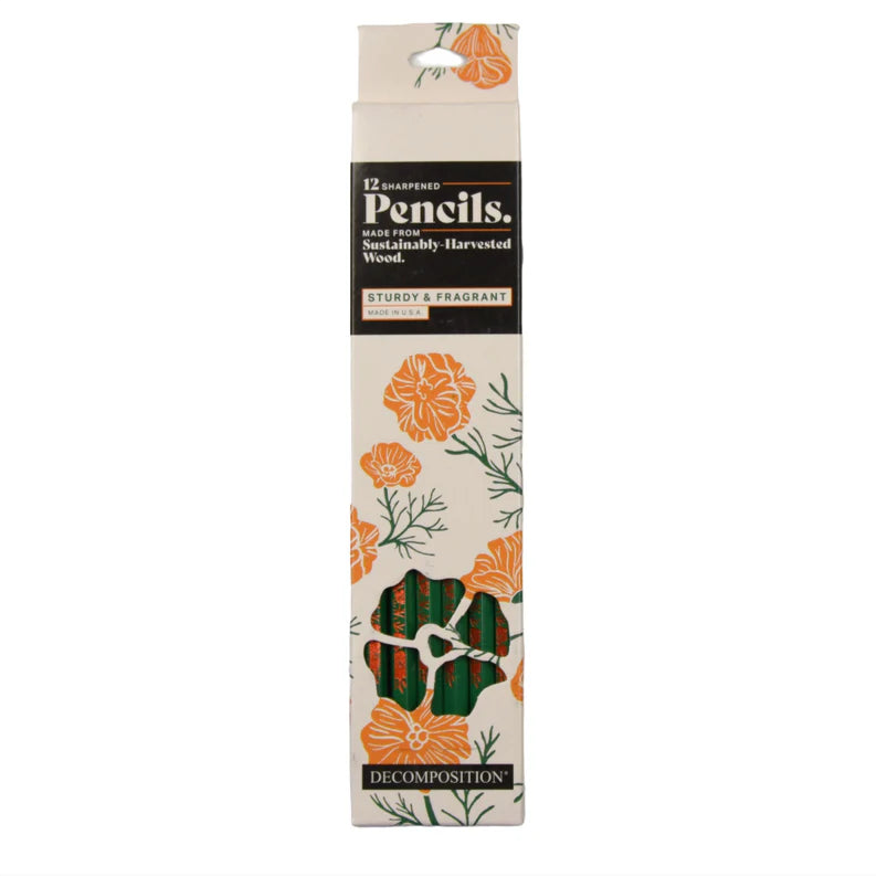 A tall rectangular box of decomposition pencils with a cream background, orange floral illustrations, and a green-and-black striped pencil window showing the pencils inside.