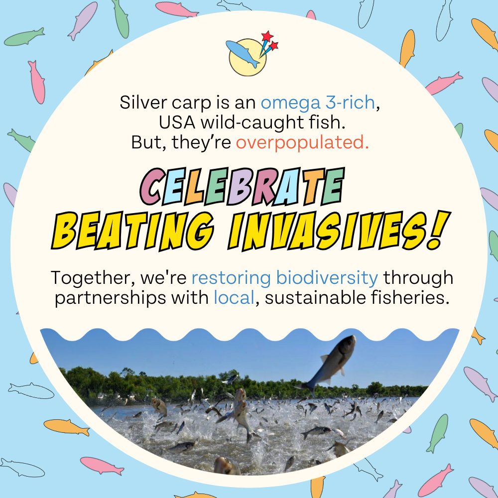 Birthday Dog Treats, 2-Pack