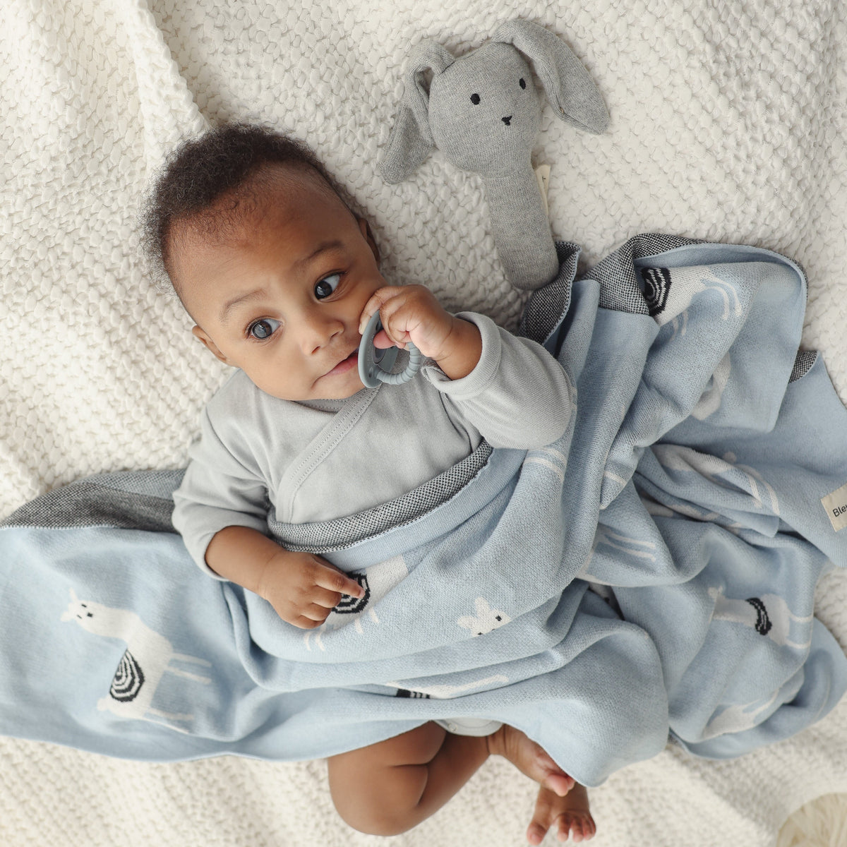 Llama Cotton Knit Baby Blanket