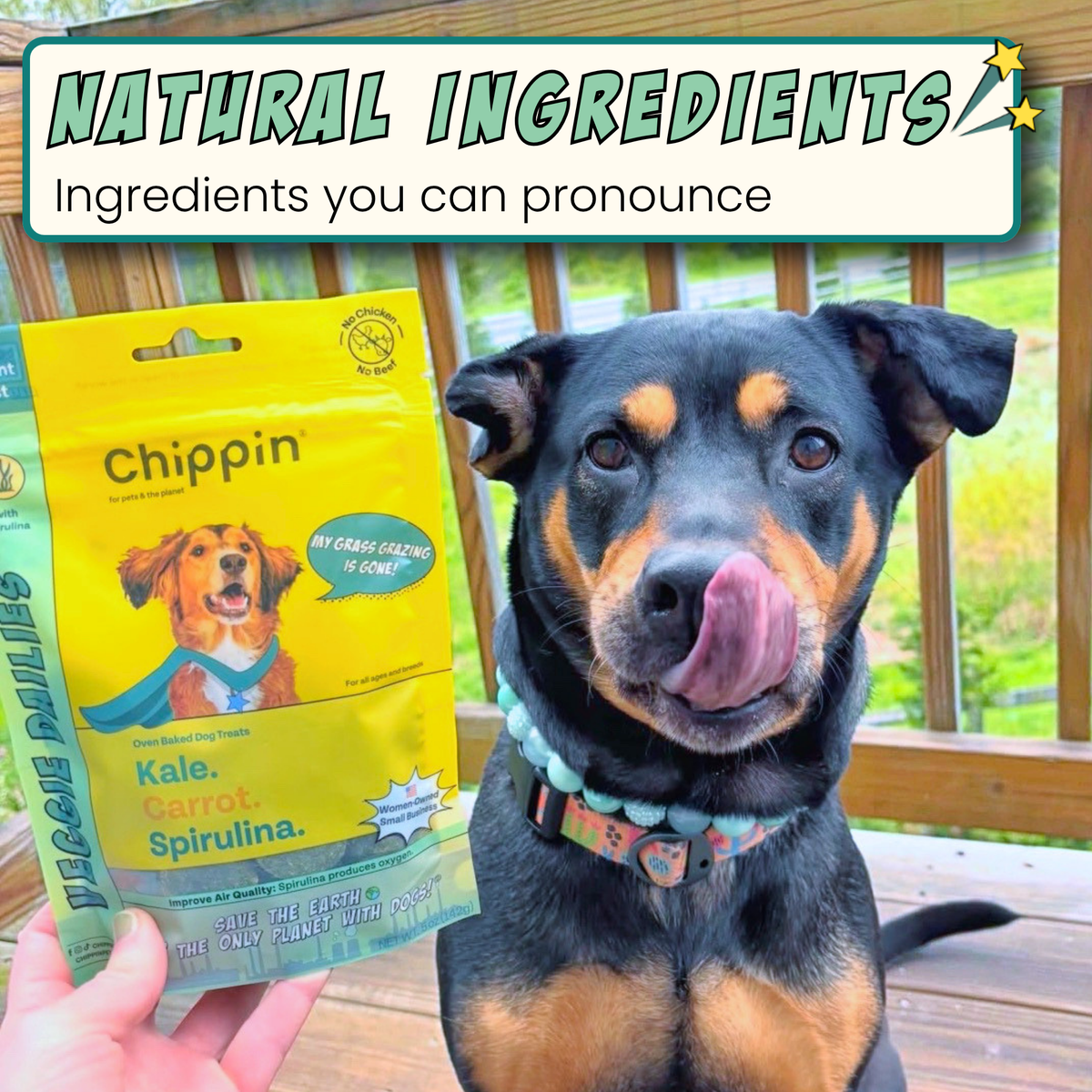 Veggie Dailies with Spirulina, 4-Pack
