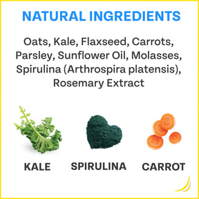 Veggie Dailies: Kale, Carrot, Spirulina- 2 pack