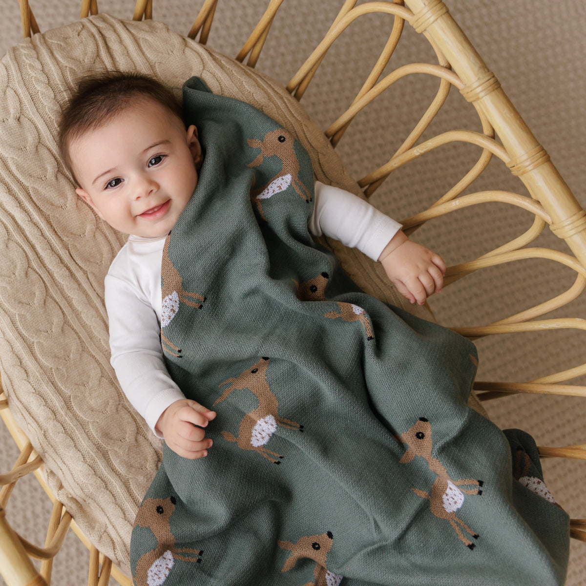 Whimsy Cotton Knit Baby Blanket