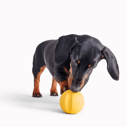 Beco ball top dog toy