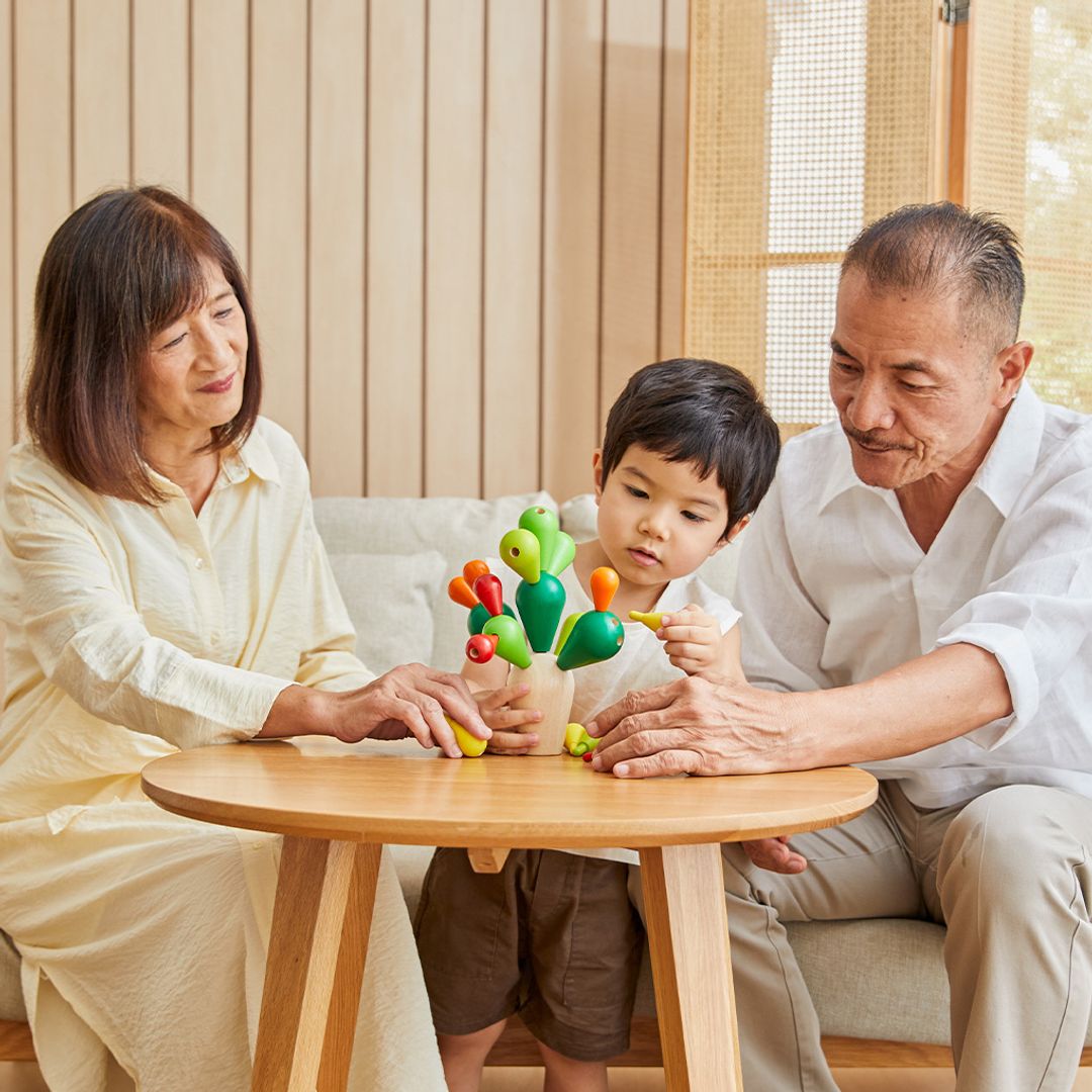 Balancing Cactus Toy