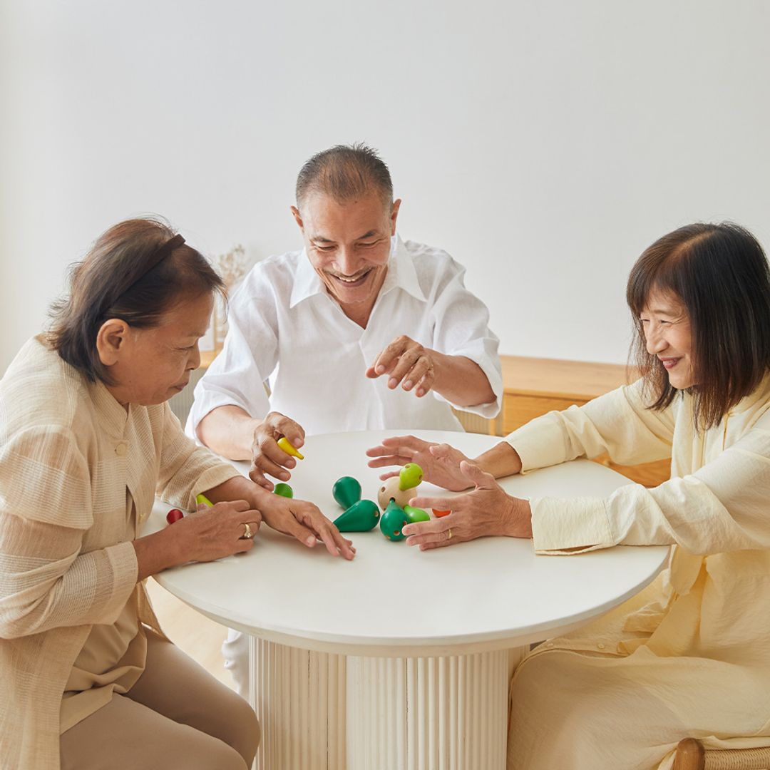 Balancing Cactus Toy
