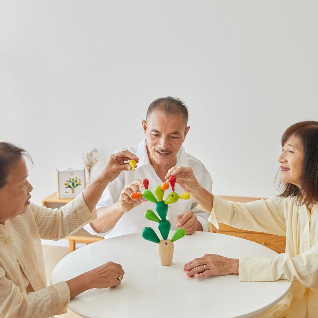 Balancing Cactus Toy