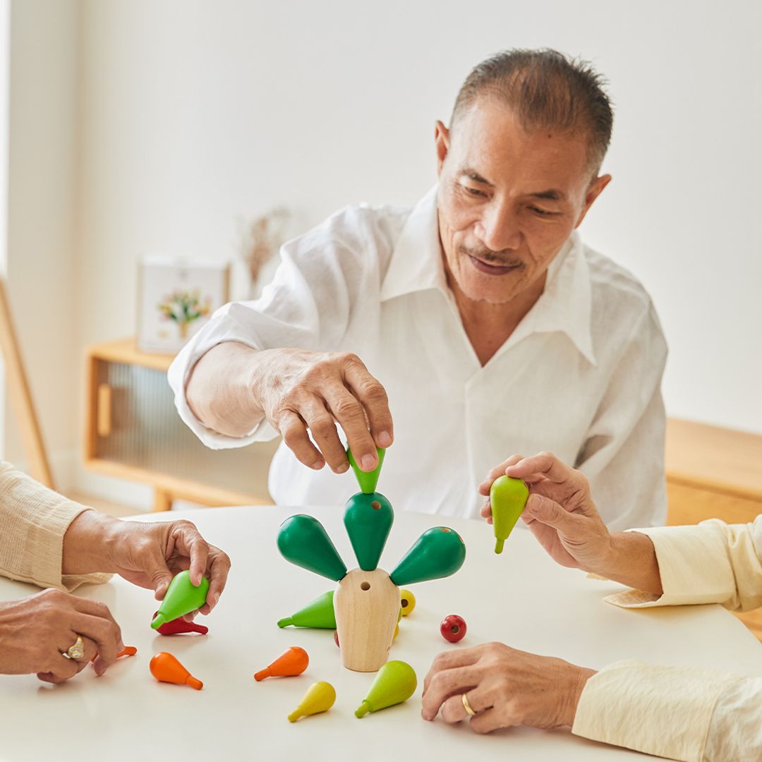 Balancing Cactus Toy