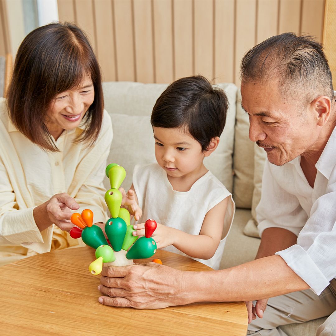Balancing Cactus Toy