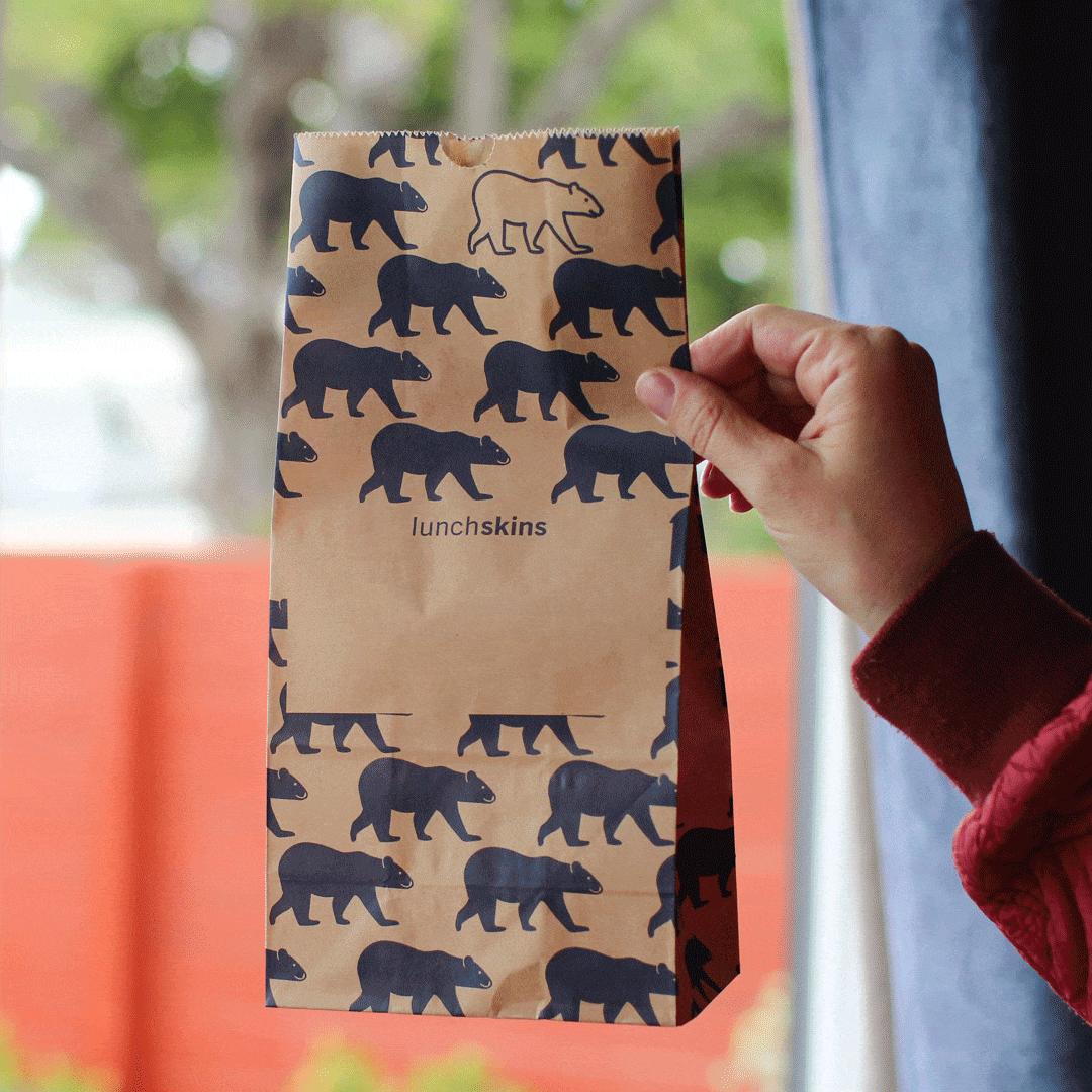 Recyclable Paper Lunch Sacs Variety Pack