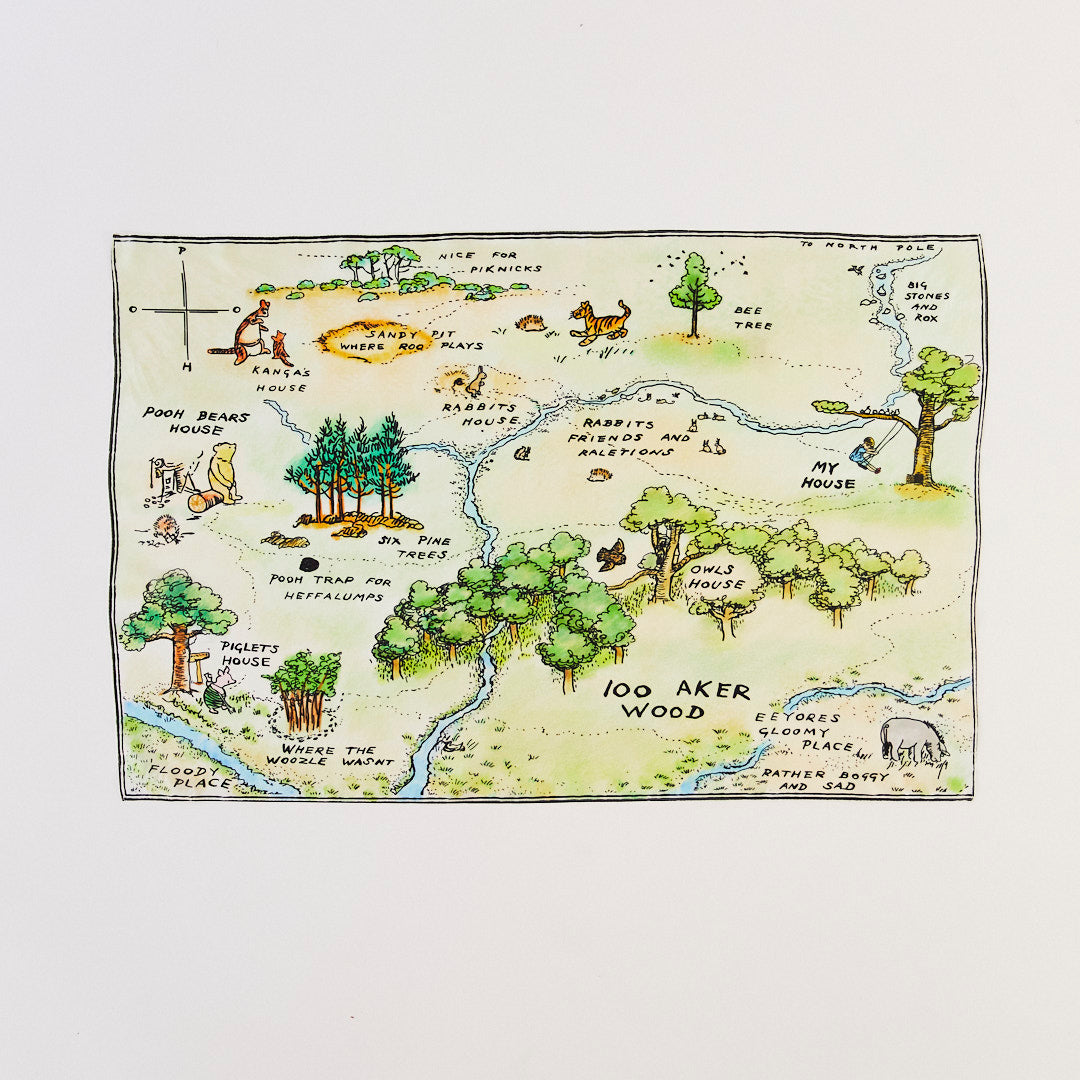 100 Aker Woods & Complete Wooden Friends Set