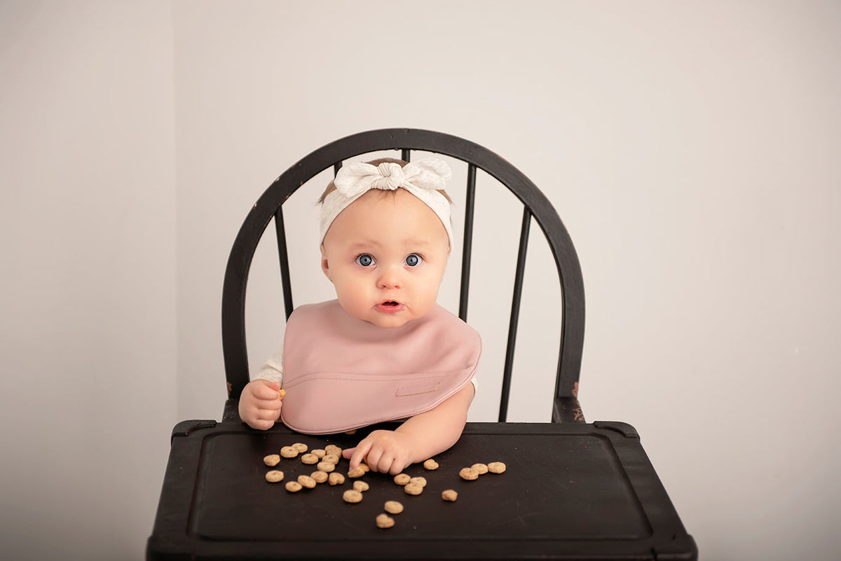 Classic Baby Bib - Mauve