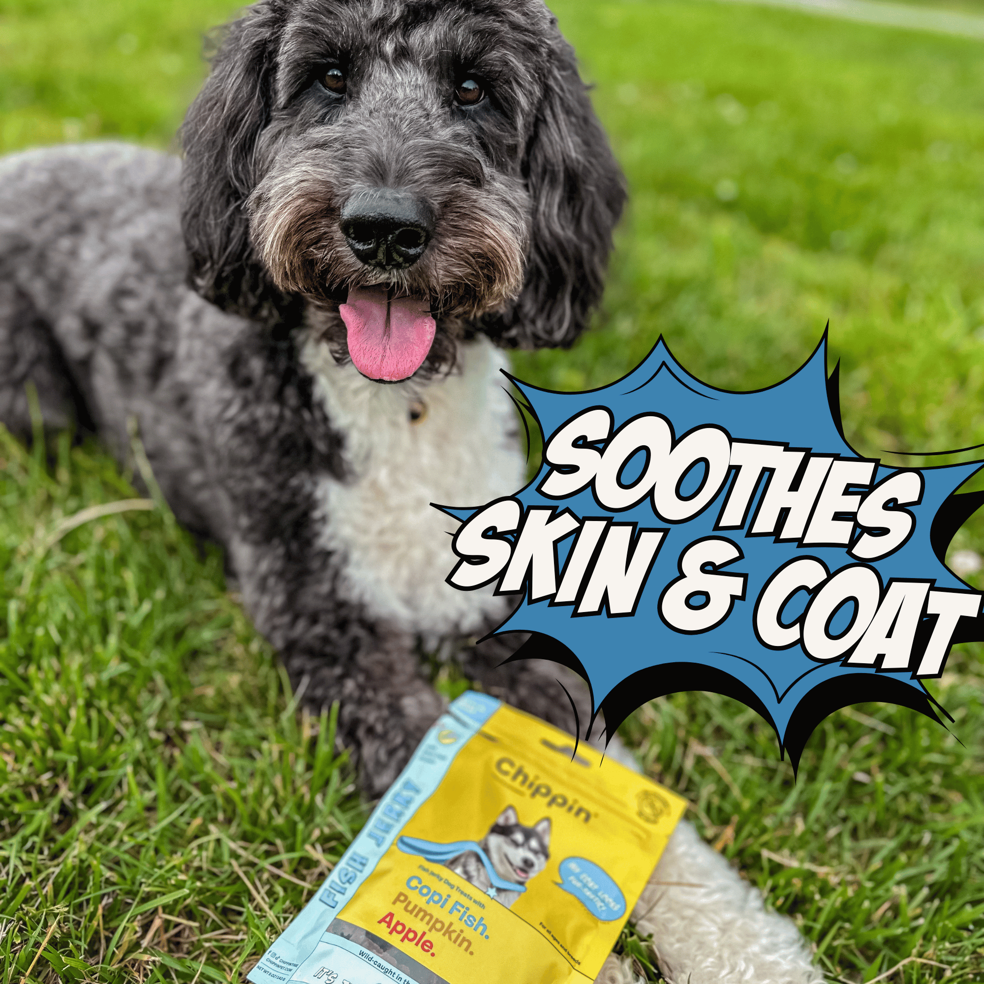 Allergy-Friendly Dog Treats, 6-Pack