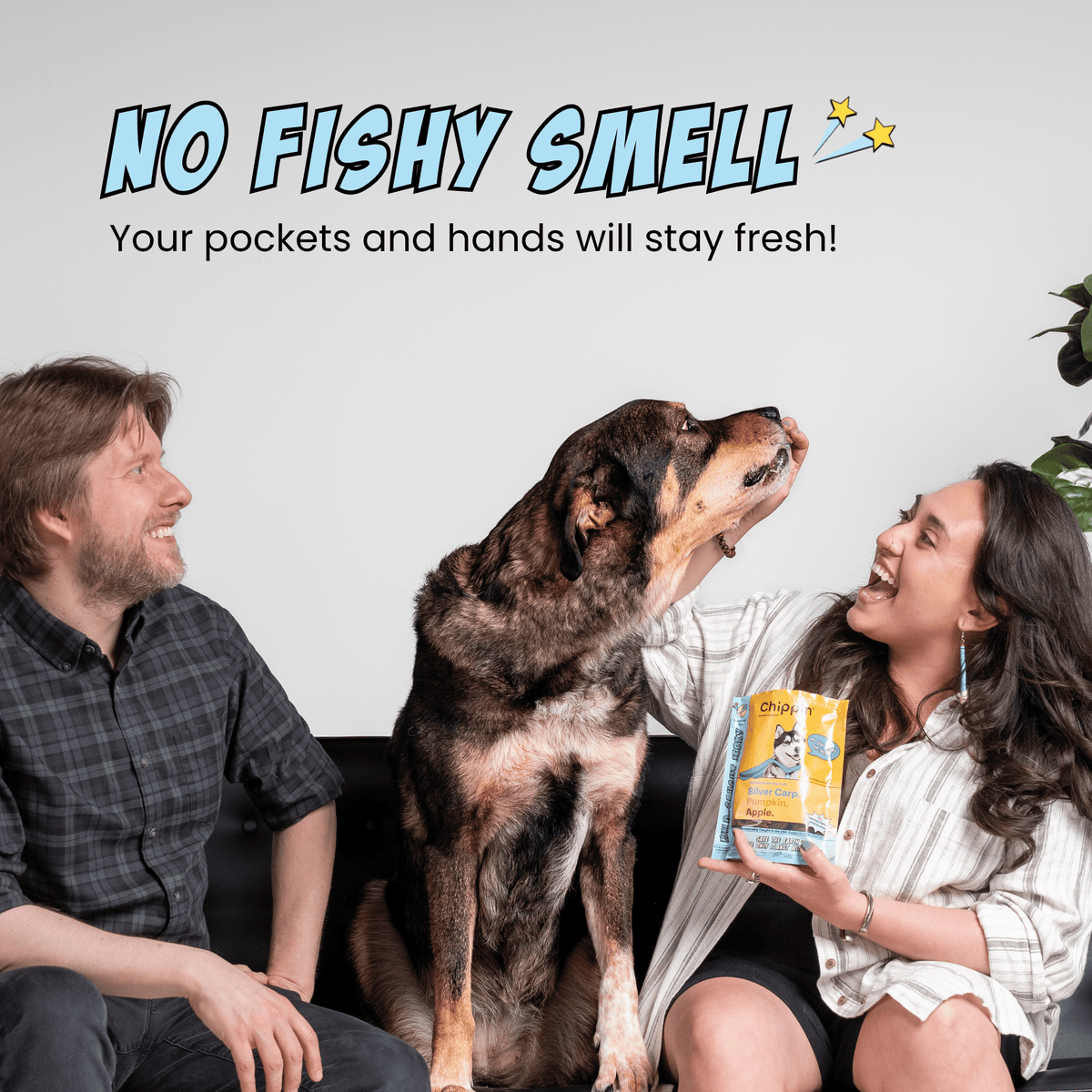 Wild-Caught Fish Jerky, 4-Pack