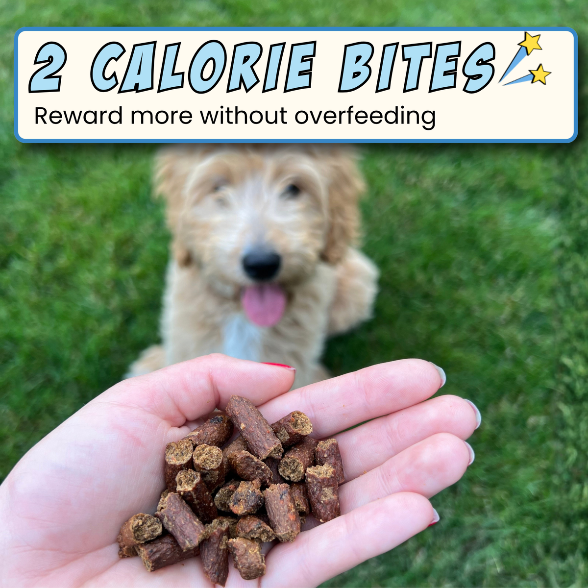 Fish & Sweet Potato Training Bites, 4-Pack