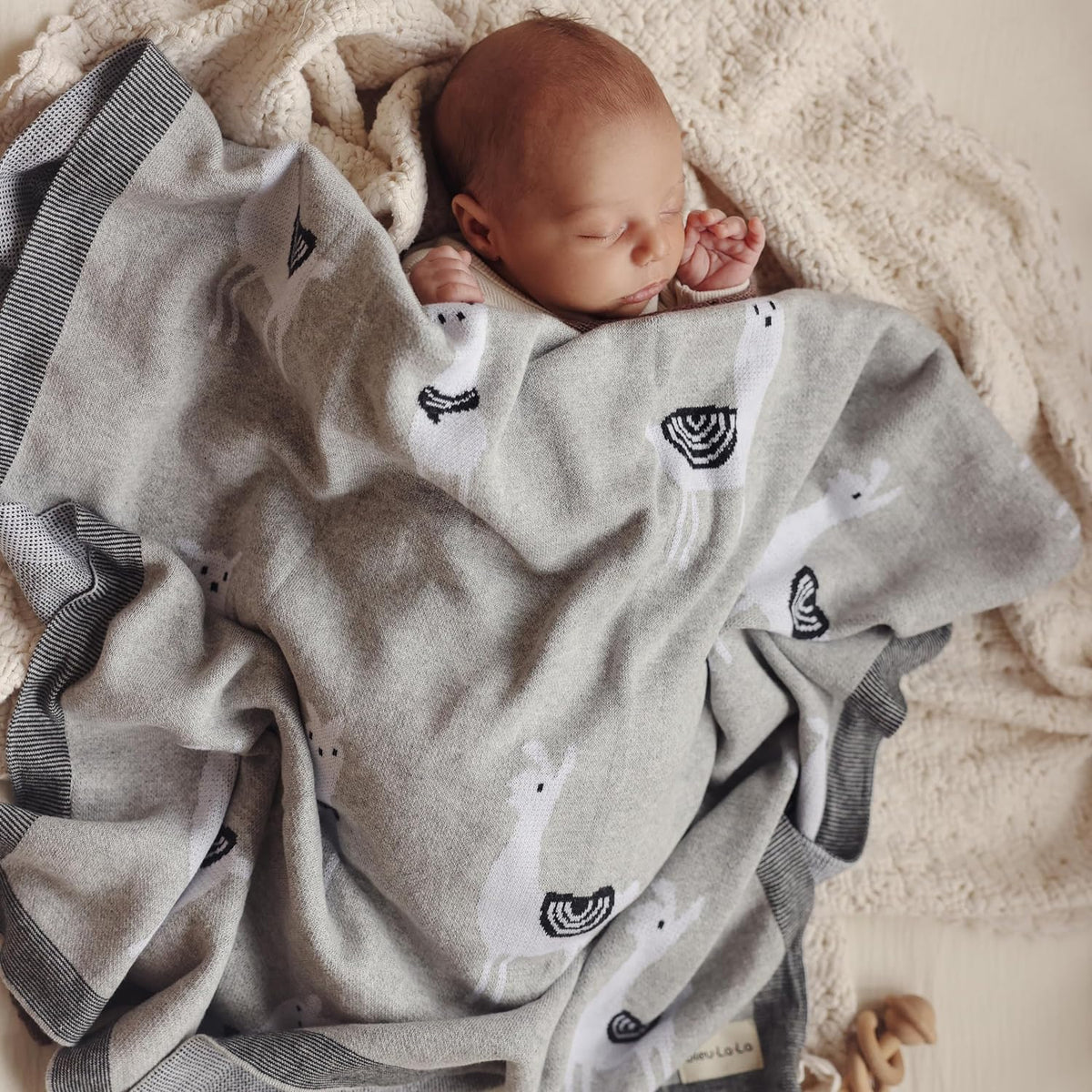 Whimsy Cotton Knit Baby Blanket