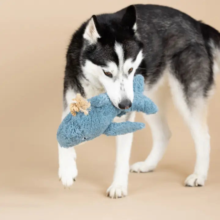 Whale Dog Toy