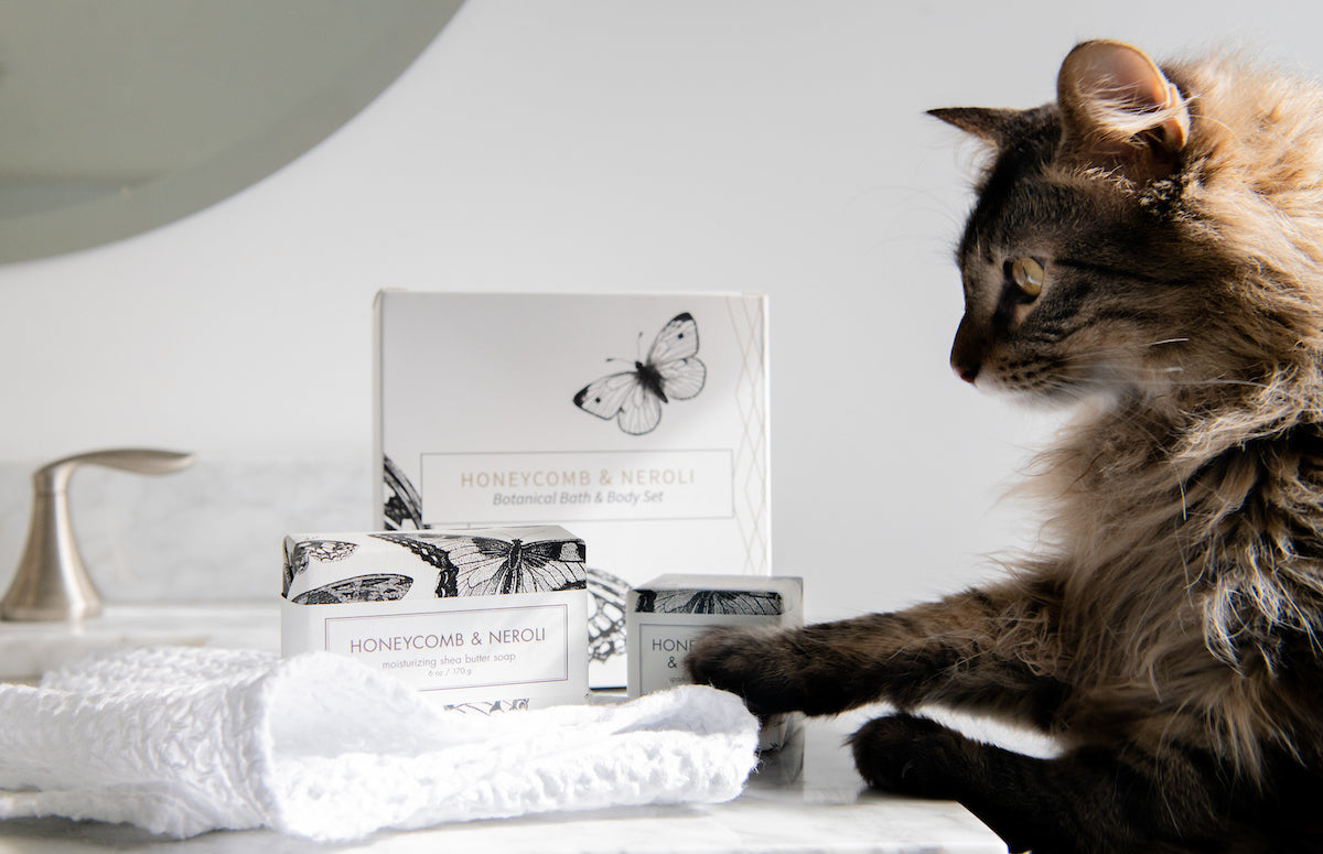 Honeycomb & Neroli - Complete Fragrance Gift Set