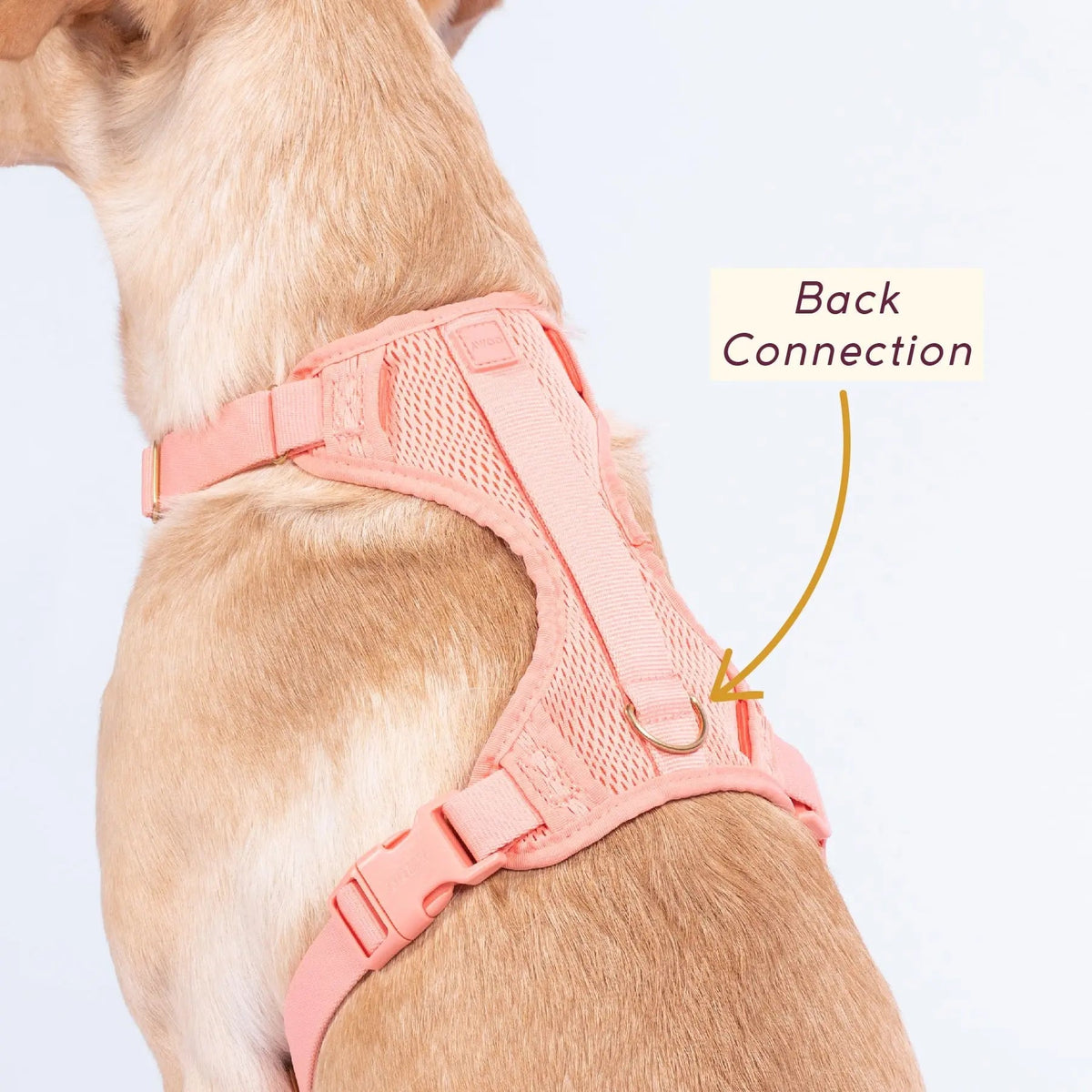 Huggie Dog Harness
