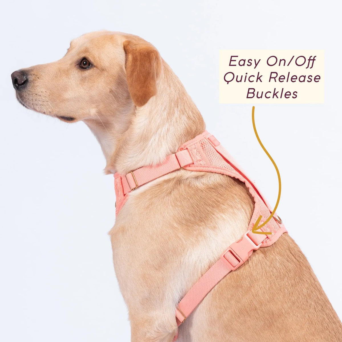 Huggie Dog Harness