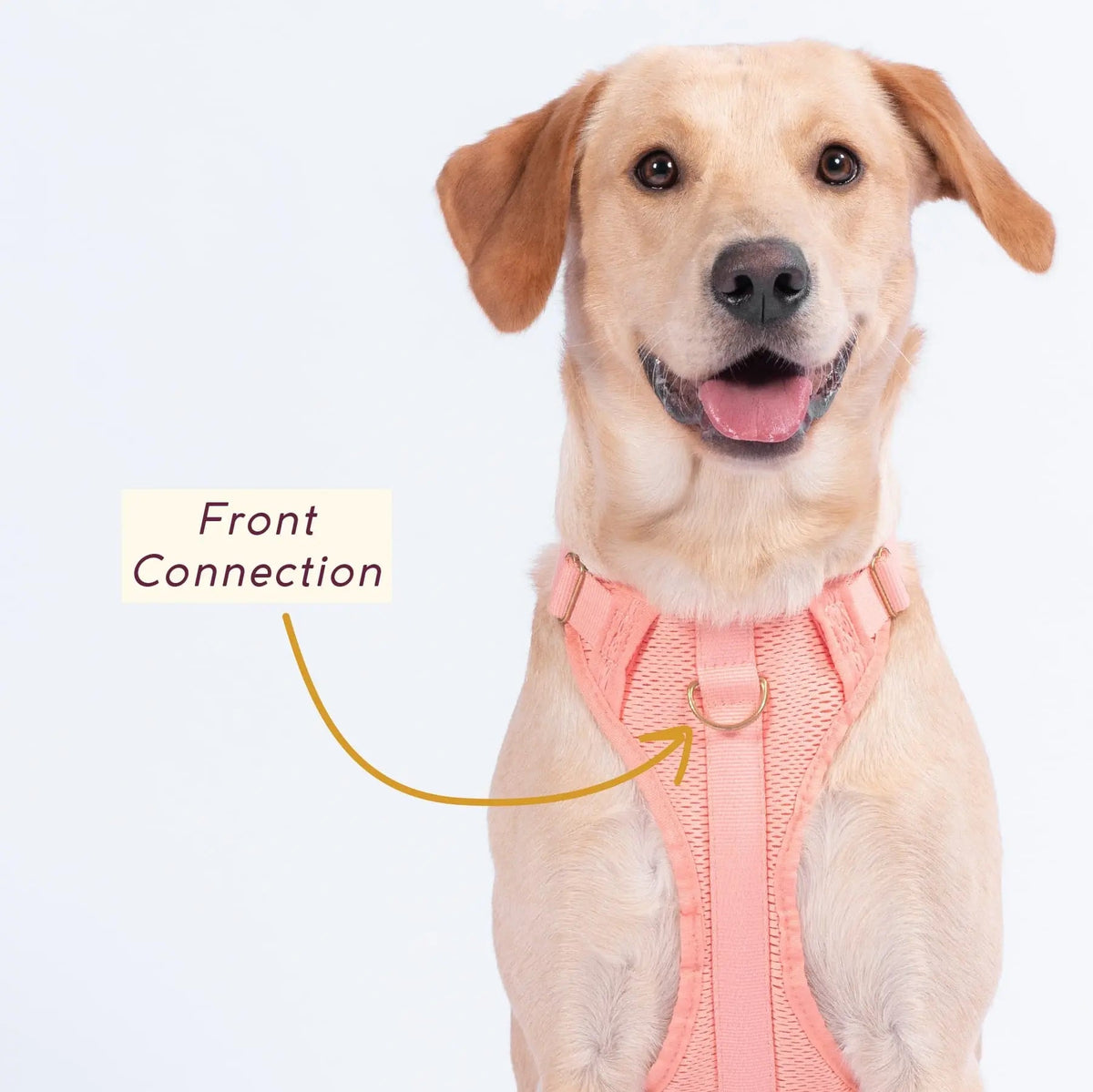 Huggie Dog Harness