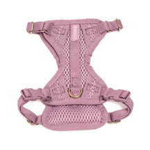Huggie Dog Harness