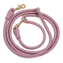 Infinity Dog Leash