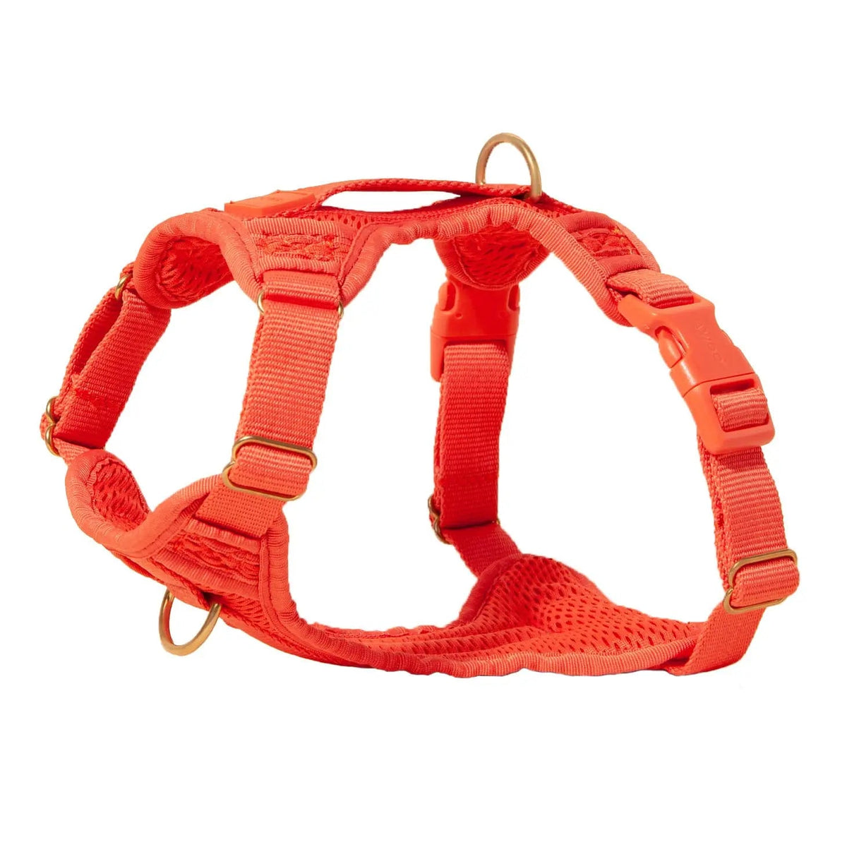 Huggie Dog Harness