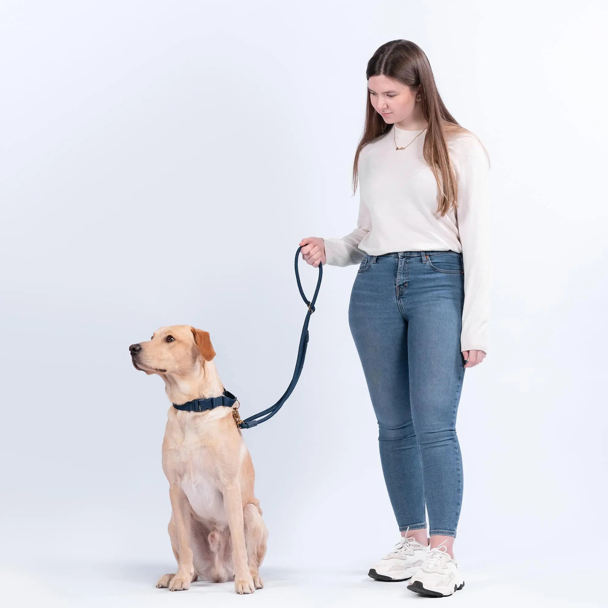 City Dog Leash